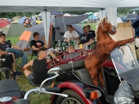 Treffen2013Sa_0031